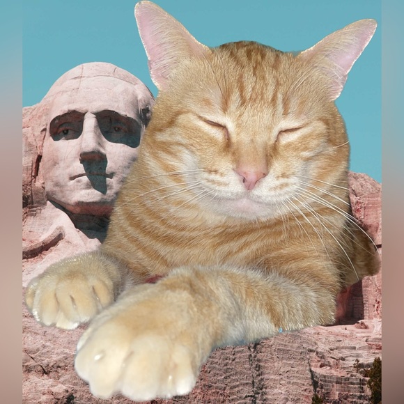 Meet your Posher, Kris🙋🏻♀️ - Picture 4 of 17